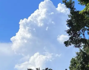 泾川天气预报,泾川7天天气预报,泾川15天天气预报,泾川天气查询